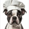 flat750x075f pad750x1000f8f8f8.u15 2 - Boston Terrier Gifts