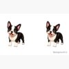 flat750x075f pad750x750f8f8f8.u4 6 - Boston Terrier Gifts